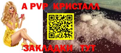 МДПВ Кингисепп