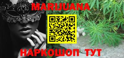 МДПВ Кингисепп