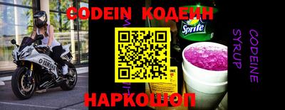МДПВ Кингисепп