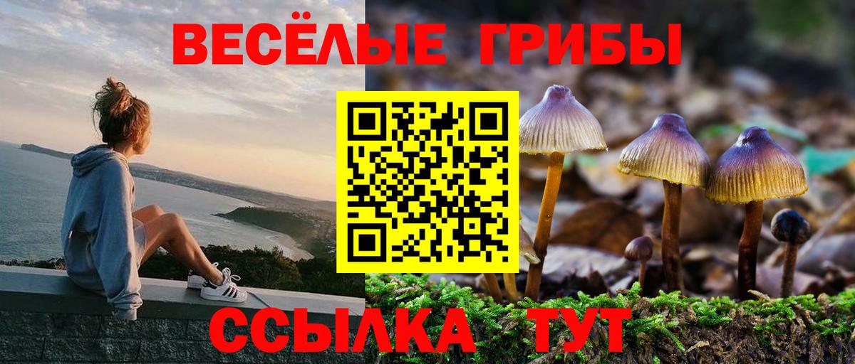 Псилоцибиновые грибы MAGIC MUSHROOMS Шелехов