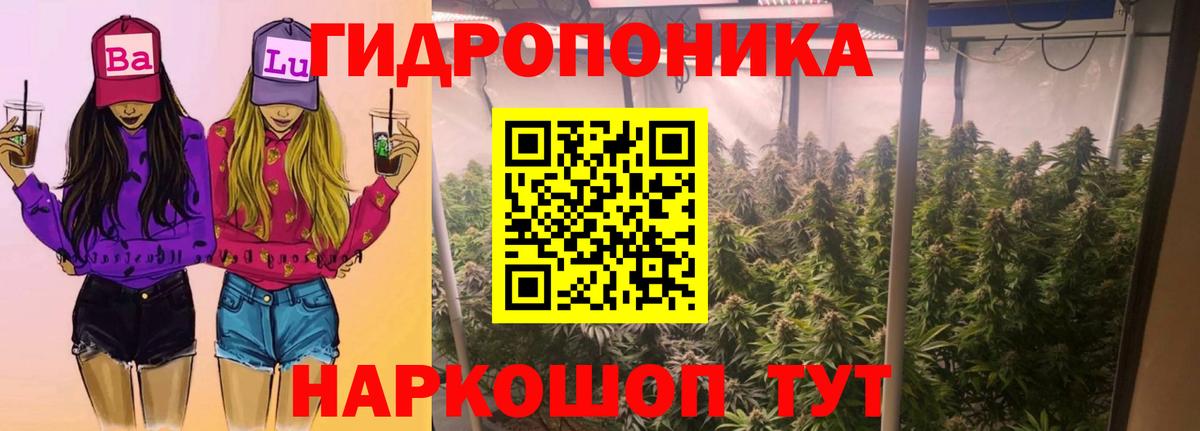 МАРИХУАНА Amnesia Шелехов